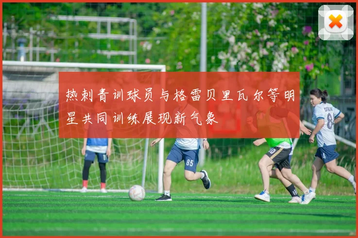 热刺青训球员与格雷贝里瓦尔等明星共同训练展现新气象